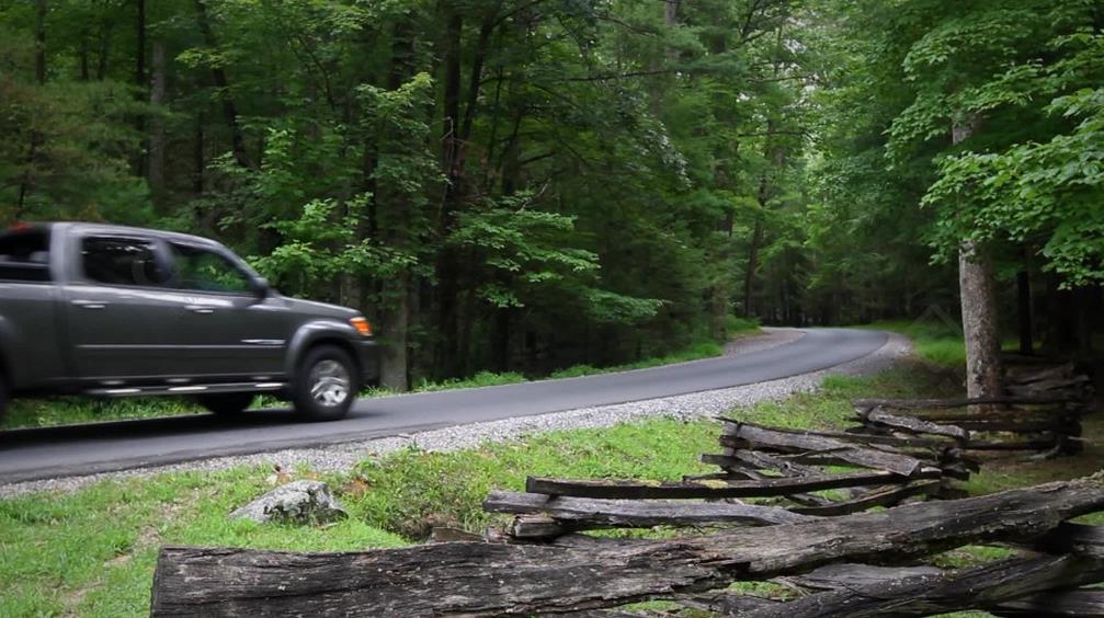 零基础剪辑师去哪里学